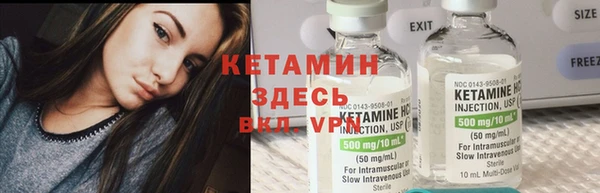прущие грибы Горно-Алтайск