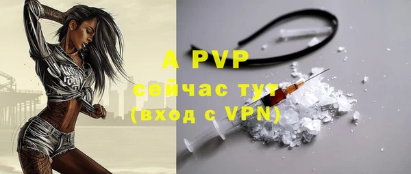 прущие грибы Горно-Алтайск