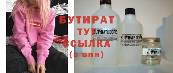 индика Канск