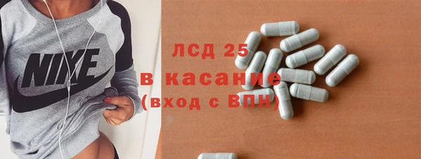 прущие грибы Горно-Алтайск