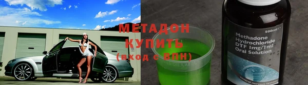 прущие грибы Горно-Алтайск