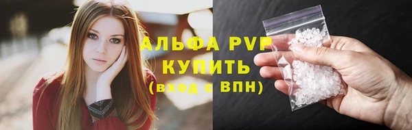 прущие грибы Горно-Алтайск