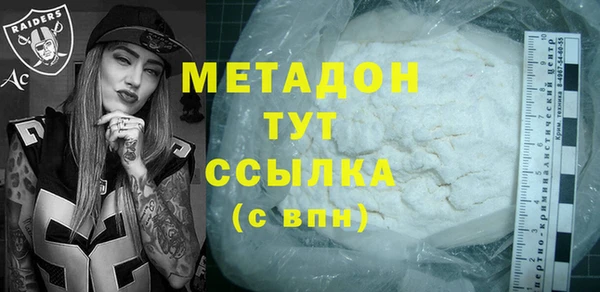 прущие грибы Горно-Алтайск