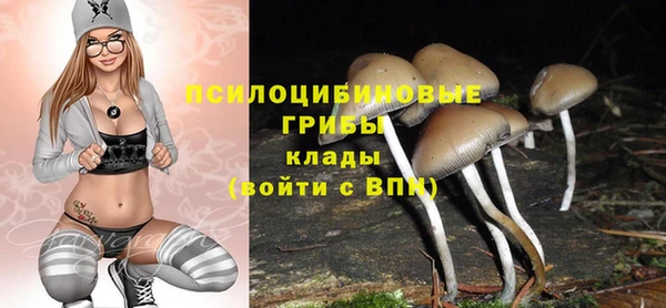 герыч Горнозаводск