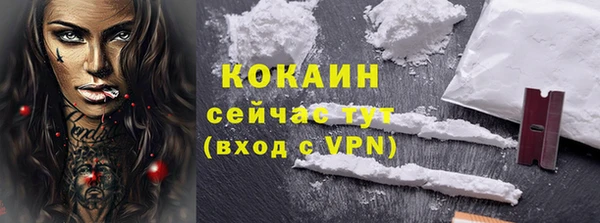 прущие грибы Горно-Алтайск