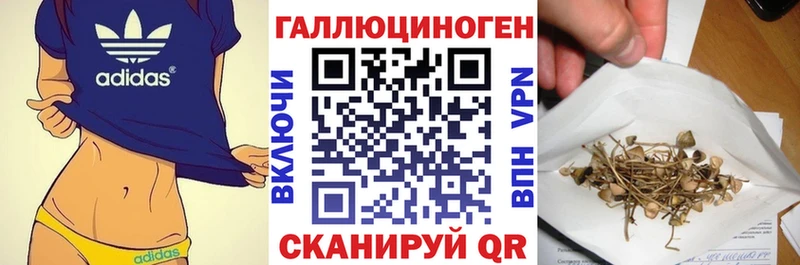 купить наркоту  Новый Оскол  Галлюциногенные грибы GOLDEN TEACHER 